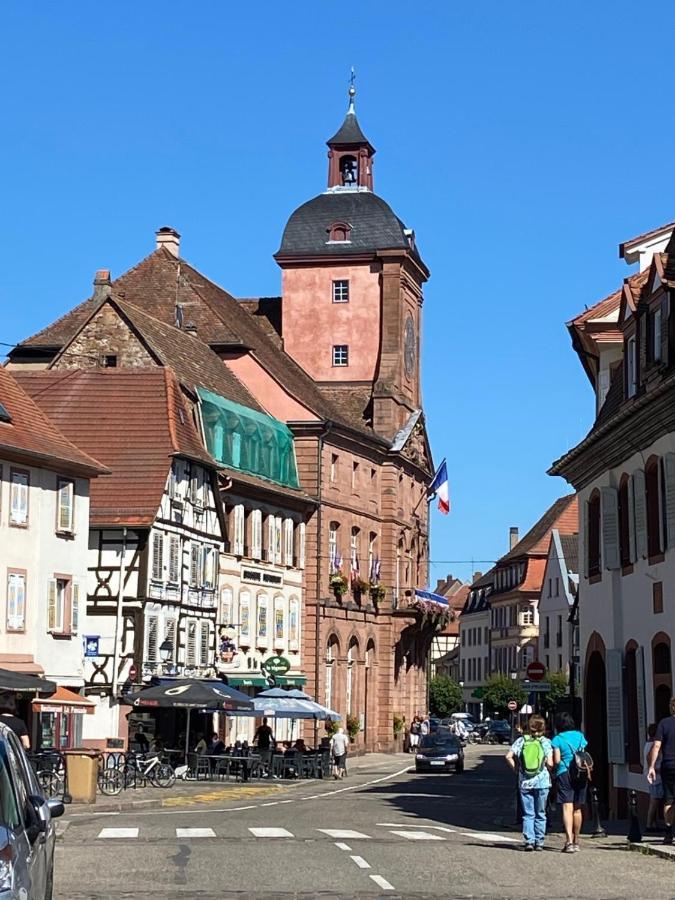 Studio Le Pied De Boeuf Wissembourg Exterior foto