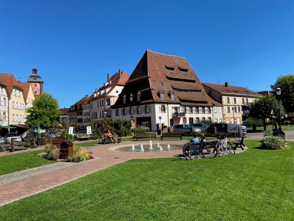 Studio Le Pied De Boeuf Wissembourg Exterior foto